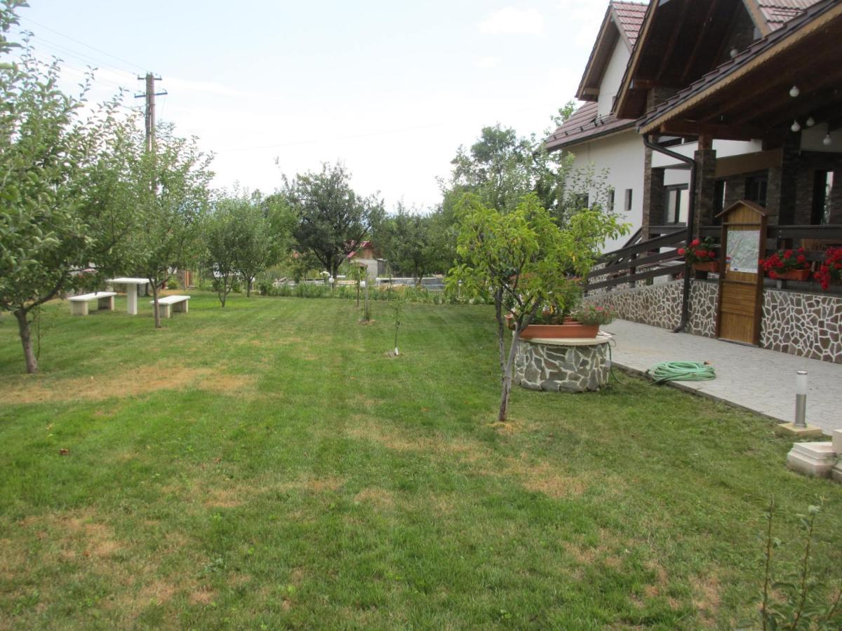 Nut House Retezat Nucsoara (Hunedoara) Exterior foto