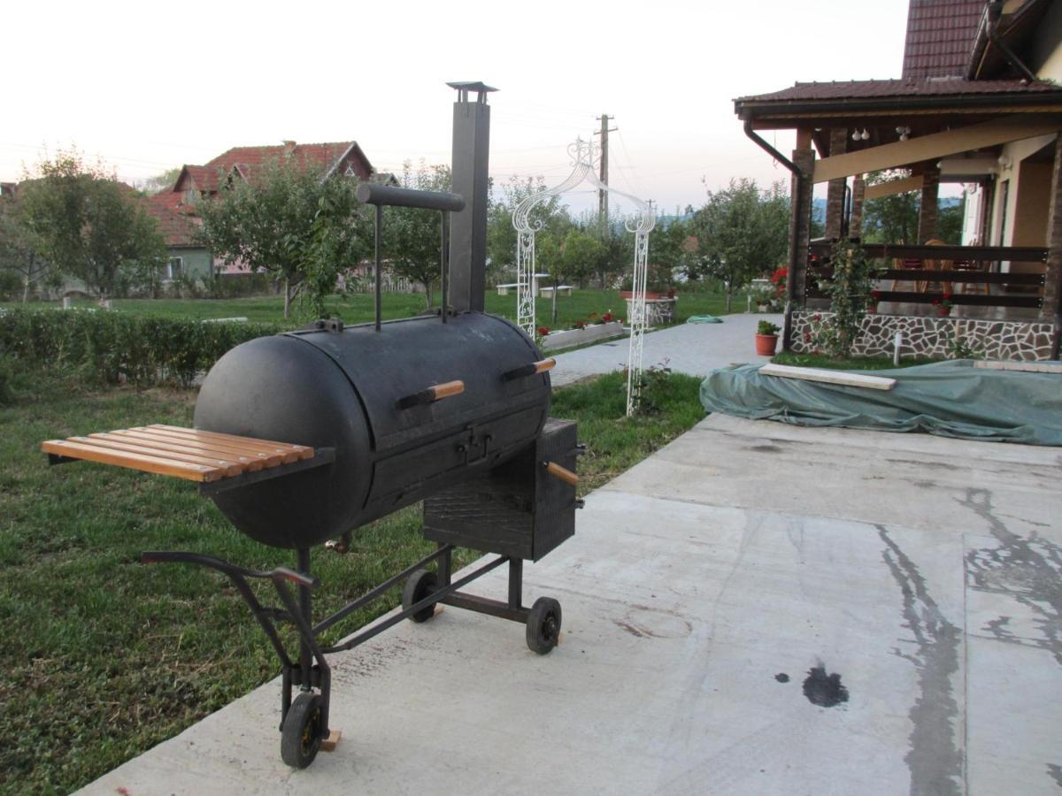 Nut House Retezat Nucsoara (Hunedoara) Exterior foto