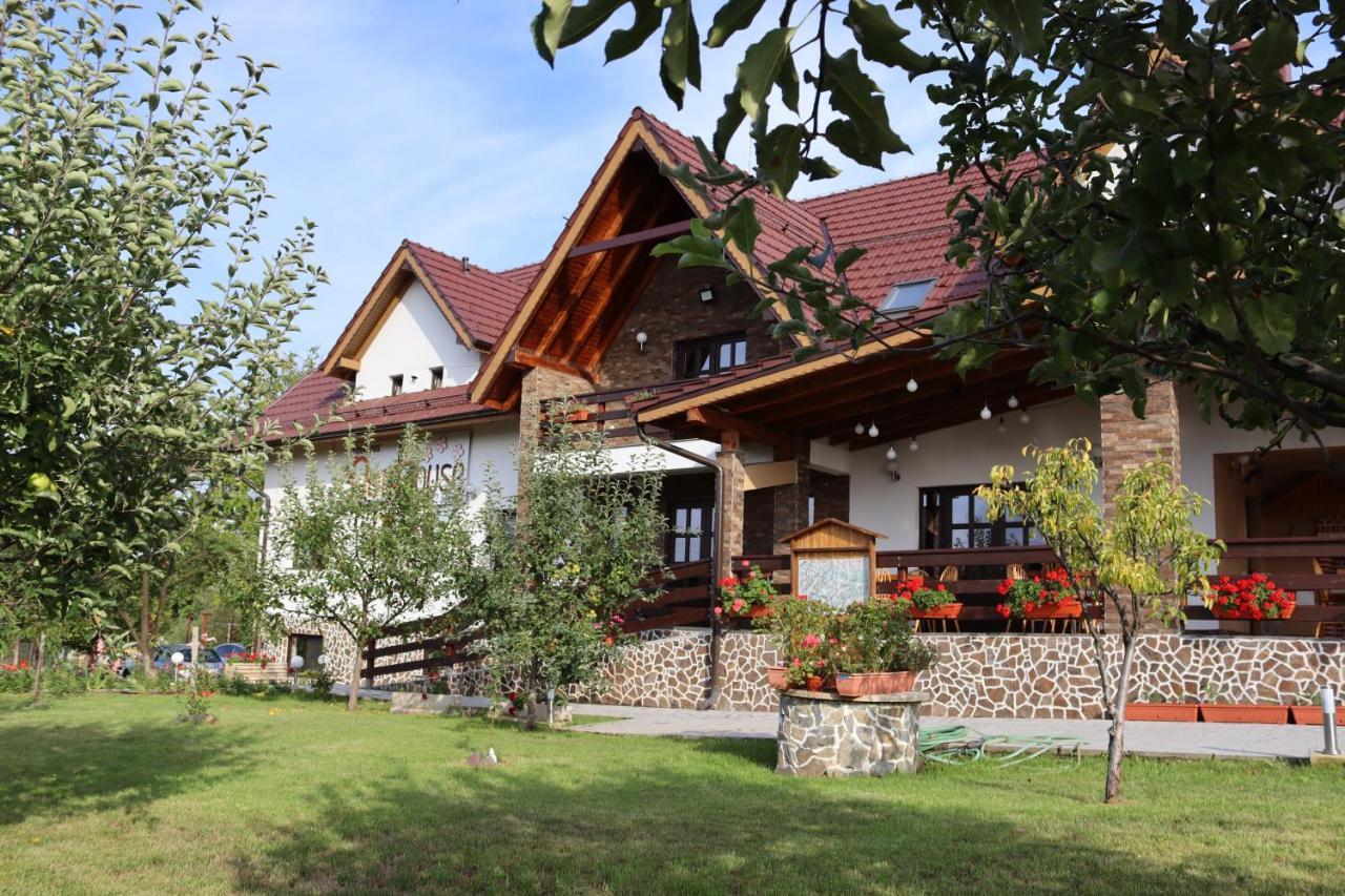 Nut House Retezat Nucsoara (Hunedoara) Exterior foto