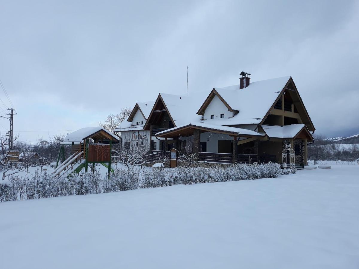 Nut House Retezat Nucsoara (Hunedoara) Exterior foto