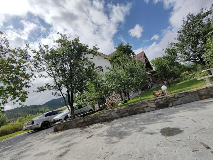 Nut House Retezat Nucsoara (Hunedoara) Exterior foto